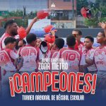 17872049943163233_inefirdoficial